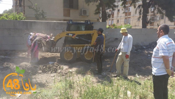 sheikh morad (1).jpg